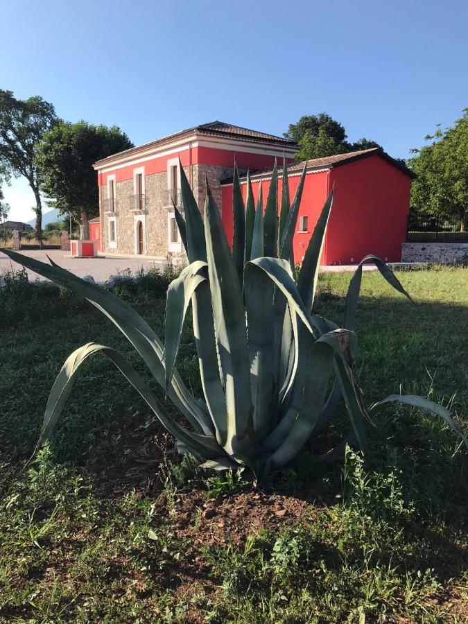 Agriturismo Dipinto Dal Sole パドゥーラ エクステリア 写真